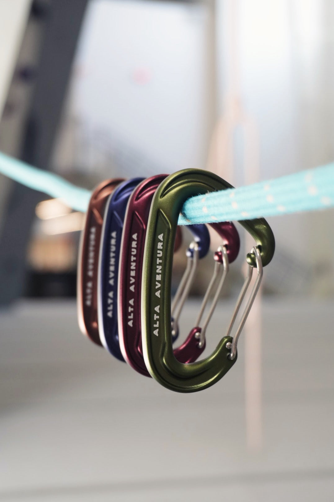 Alta Aventura Carabiner 4-Pack