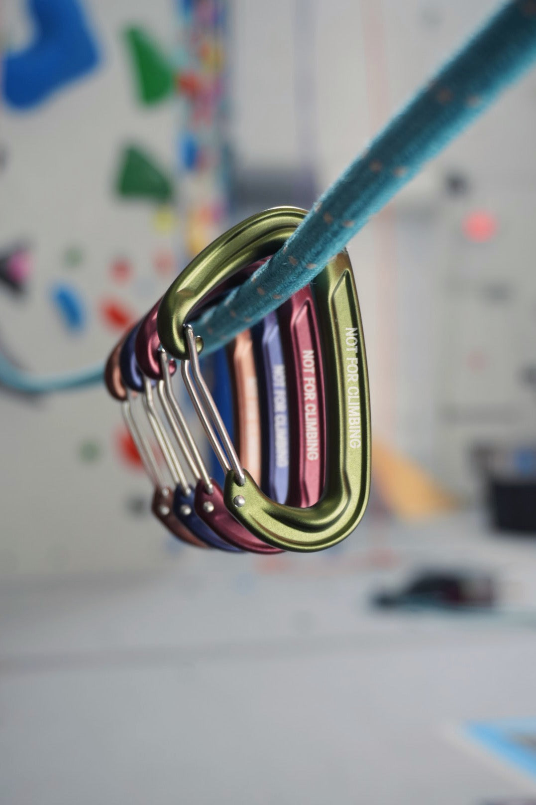 Alta Aventura Carabiner 4-Pack